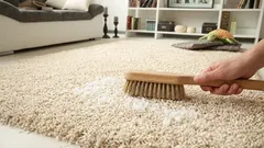 Cum cureți corect o pată din covor: tamponare, clătire și uscare completă